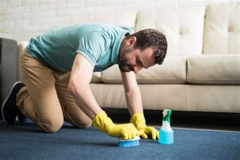 How to Clean a Large Area Rug: Smart DIY Cleaning Tips and Tricks ...