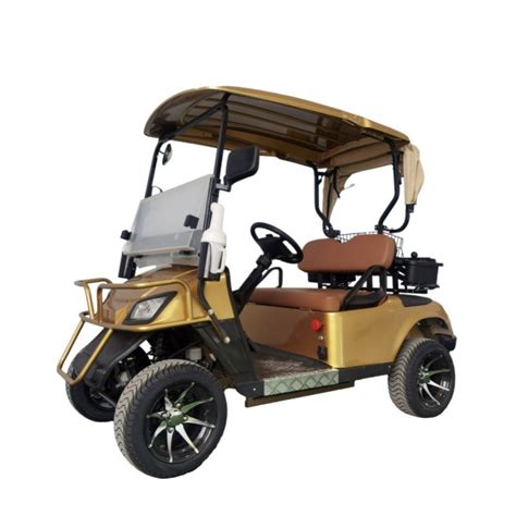 2 Seater Mini Electric Golf Carts with Lead Acid and Lithium Battery ...