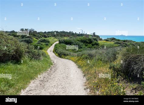 Visiting Ashkelon National Park, Israel Stock Photo - Alamy