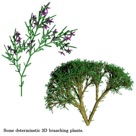 Modeling Plants with Lindenmayer Systems - Allen Pike