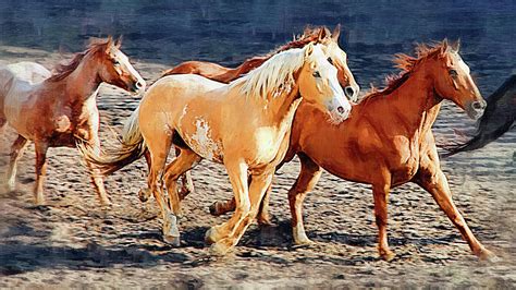 Wild Horses Running Painting by Clarence Alford - Pixels