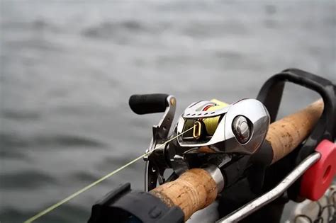 Best Swimbait Reels of 2021 – Complete Round-up