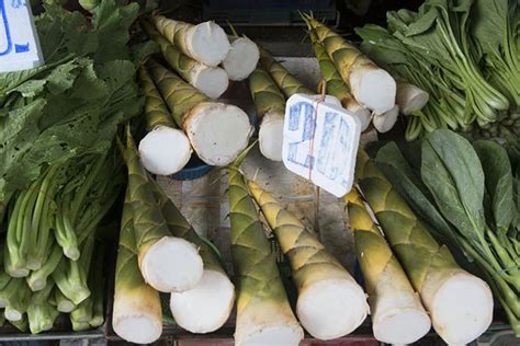 Nonthaburi market | Travel Story and Pictures from Thailand