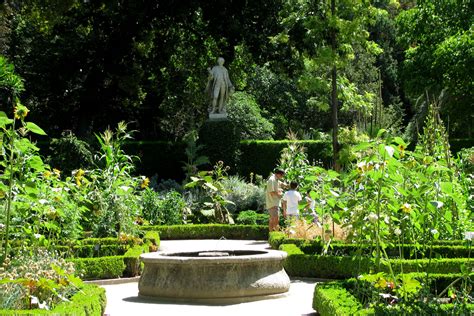 El Jardín Botánico, la más céntrica joya natural que tenemos | Madrid Free
