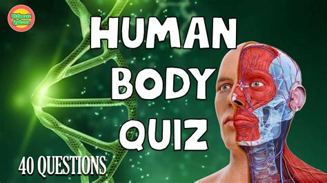 Ultimate human body Quiz | 40 general knowledge trivia questions and answers - YouTube