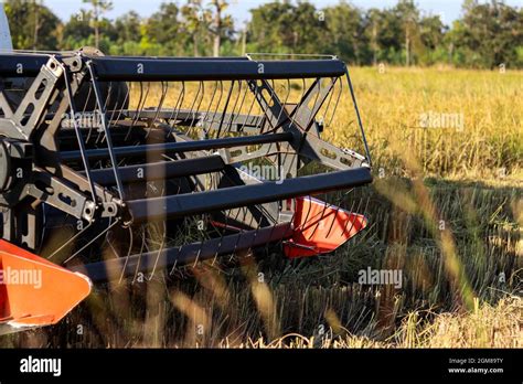 Harvester agriculture machine and harvesting in rice field working ...