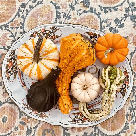 It's decorative gourd season, Motherf.... — Kristen R. Ghodsee