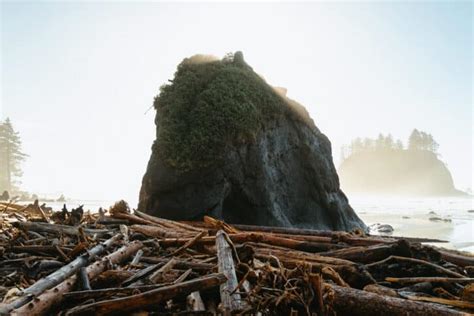 10 Tips For Camping On The Beach In Washington State (La Push Beach Camping) - The Mandagies