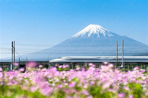 Tokaido Shinkansen Bullet Train Passing By Mount Fuji | My XXX Hot Girl