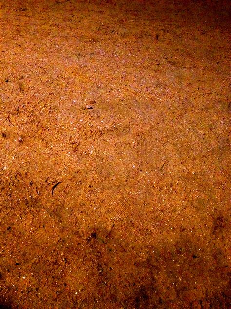 Free Images : sand, field, texture, leaf, floor, rust, soil, material, background, ochre ...