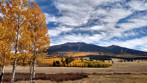 Top 7 Places for Fall Foliage - Discover Flagstaff