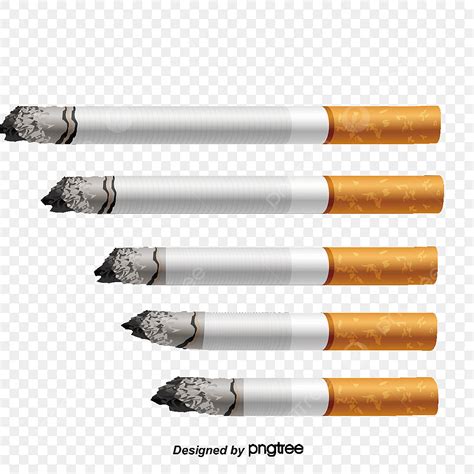 Burning Cigarette Hd Transparent, Vector Burning Cigarette, Cigarette, Smoke, Burning Smoke PNG ...