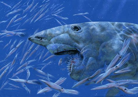 Helicoprion Shark Facts, Habitat, Diet, Fossils, Tooth-whorl, Pictures