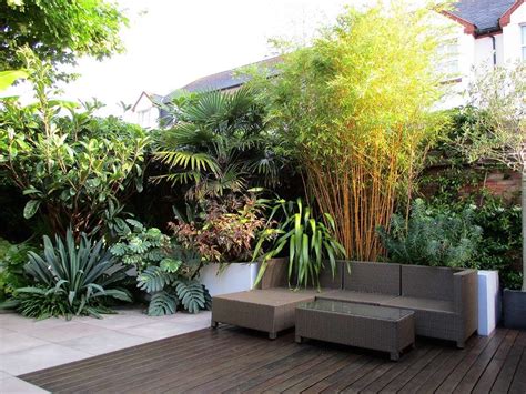 Garden Design by Post: a Modern Tropical Garden in Devon | 1000 in 2020 ...