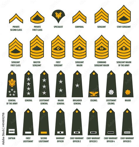 US army enlisted ranks chevrons and insignia. America military service ...