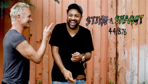 Sting & Shaggy: 44/876 (Limited-Deluxe-Edition) (CD) – jpc.de