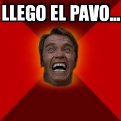 Meme Arnold - LLego el pavo... - 13157307