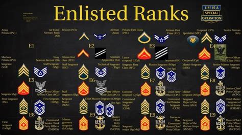 Explore the Enlisted Ranks in the US Military