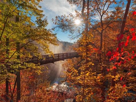 2021 Fall Foliage Peak Map: When Leaves Are Best In East Cobb | East Cobb, GA Patch