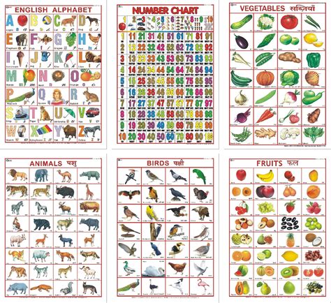 Buy English Alphabet , Numbers Chart , Animals Chart, Birds Chart, Fruits Chart, Vegetable Chart ...