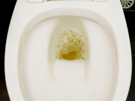 Reasons For Bubbles In Urine - Boldsky.com