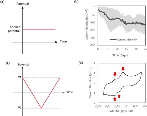 Chronoamperometry and cyclic voltammetry. (a) Graphical representation ...