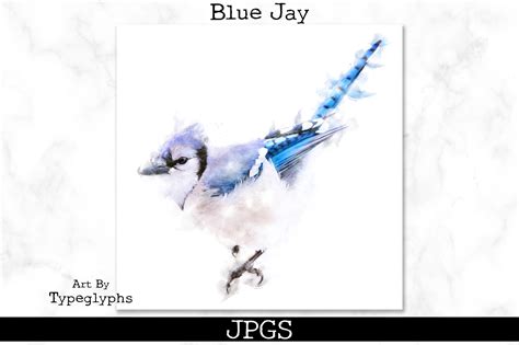 Blue Jay Watercolor Artwork Graphic by typeglyphs · Creative Fabrica