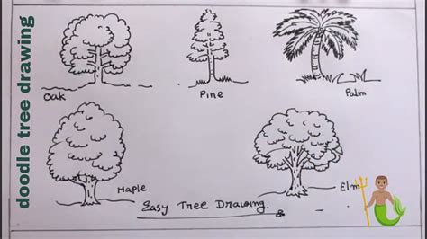 How TO Draw trees/draw different type of trees - YouTube