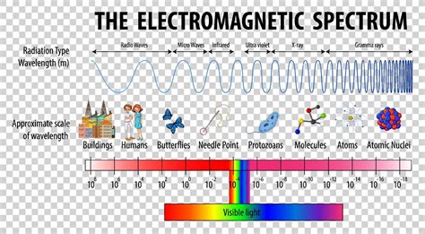 Science Electromagnetic Spectrum diagram 2036271 Vector Art at Vecteezy