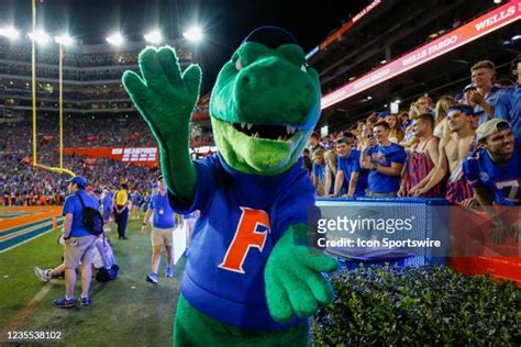 Florida Gators Mascot Photos and Premium High Res Pictures - Getty Images