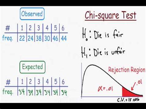 Chi Square Test - Explained | Quizalize