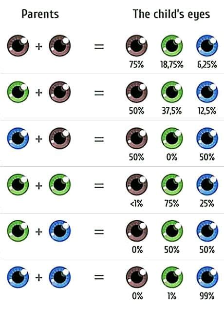 choose your babys eye color the fertility institutes offers eye - why eyes have different colors ...