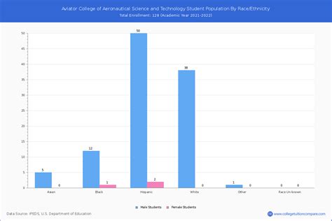 Ari Ben Aviator - Student Population and Demographics