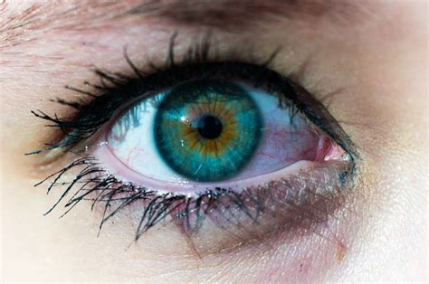 Eye Color Iris · Free photo on Pixabay