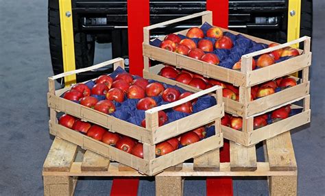 The Best Food Grade Pallets to Go from Plant to Plate | Rose Pallet