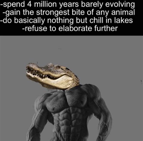 Crocodiles are alpha : r/memes