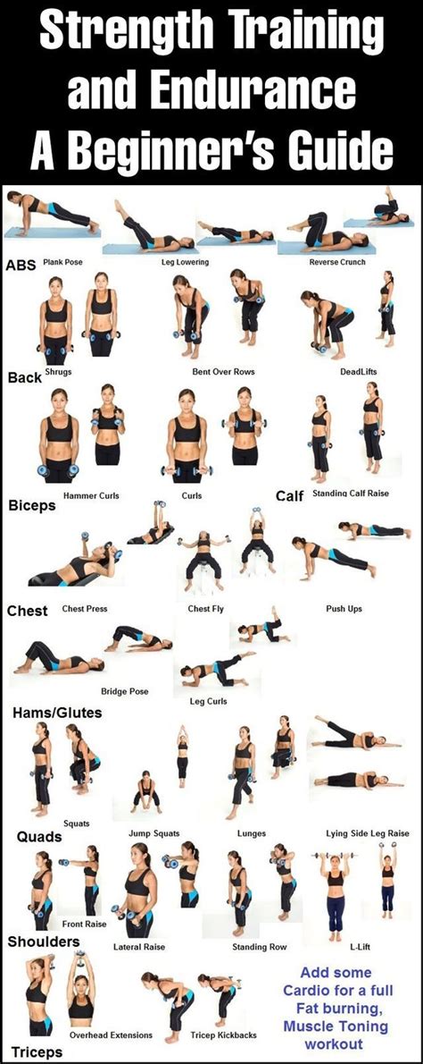 Muscular Endurance Program For Beginners A Complete Guide - Cardio Workout Exercises