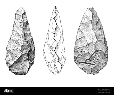 Oldowan stone tool hi-res stock photography and images - Alamy