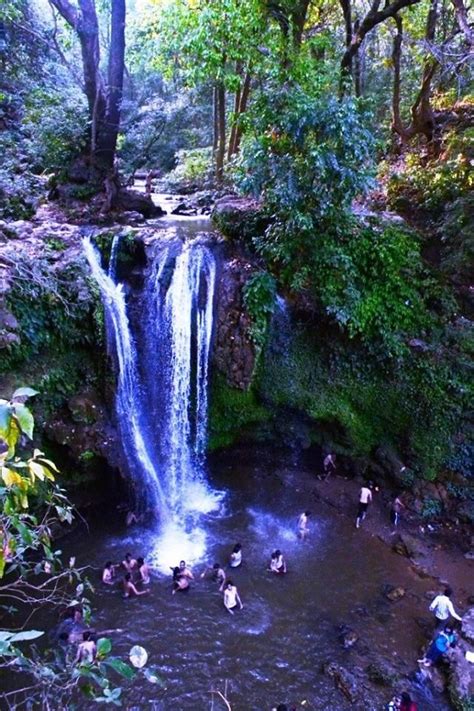 Water Fall at Jim Corbett National Park. #waterfall #jimcorbett | Jim corbett national park ...