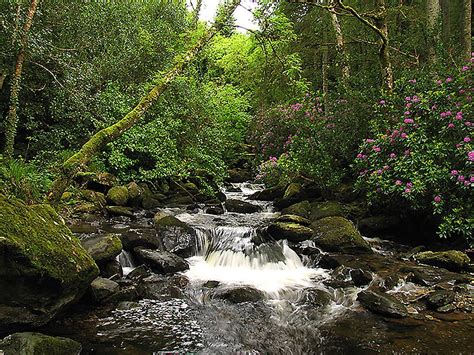 Killarney National Park in Ireland | Sygic Travel