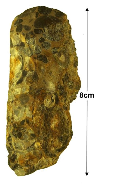 Puddingstone use – East Herts Geology Club