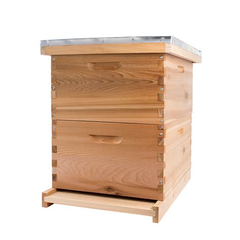 Types of beehives and their advantages | Graduate Farmer