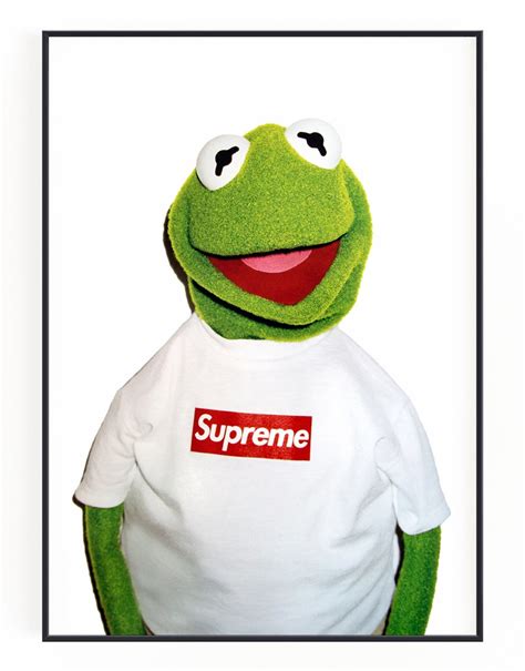 Kermit the Frog Supreme Wall Art – Hyped Art