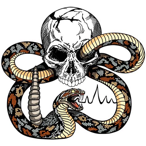 Human Skull And Snake Tattoo Symbol Healing Graphic Vector, Symbol, Healing, Graphic PNG and ...