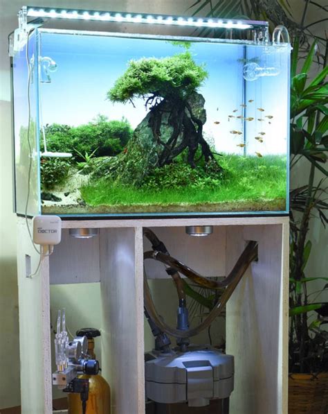 What are the different Aquascaping Styles?