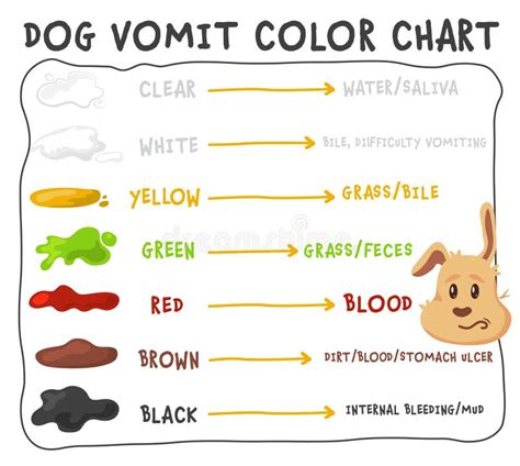 Dog Vomit: Causes, Diagnosis, Types Treatment, 54% OFF