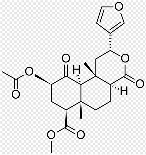 Salvia de los adivinos salvinorina una planta psicoactiva alucinógena ...