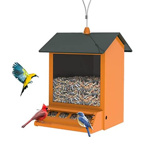 Find The Best Squirrel Proof Feeders Reviews & Comparison - Glory Cycles