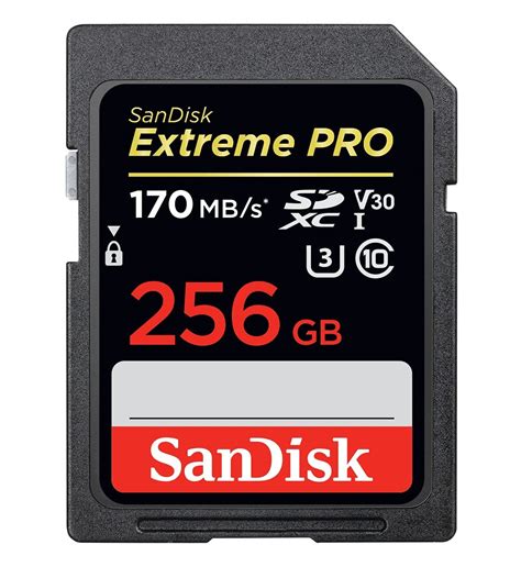 Sd Card 256gb | ubicaciondepersonas.cdmx.gob.mx