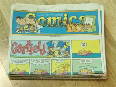 VTG LOT NEWSPAPER Sunday Comics Far Side Garfield Cathy Peanuts Crock Knoxville $47.99 - PicClick